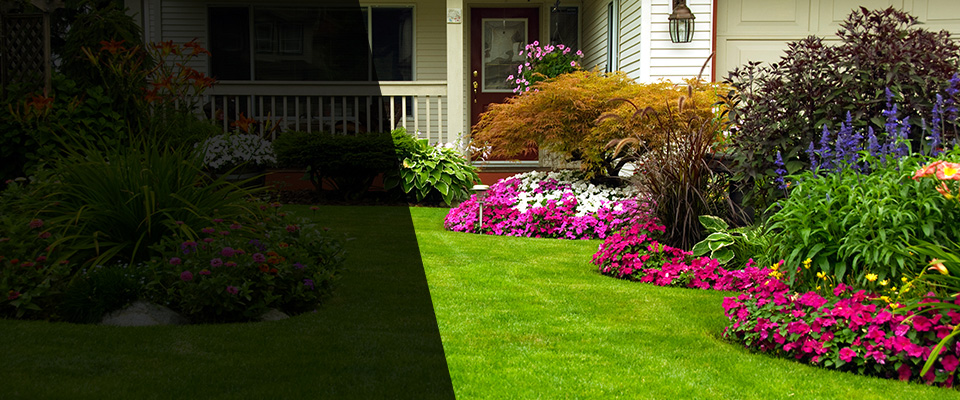 El Dorado Landscapers