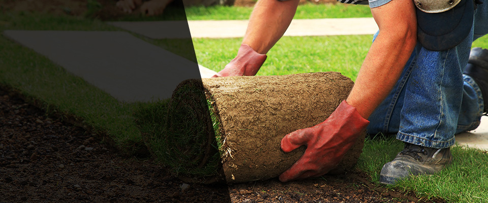 El Dorado Landscapers